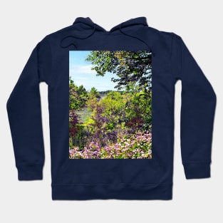 Niagara Falls, NY - Wildflowers on Three Sisters Islands Hoodie